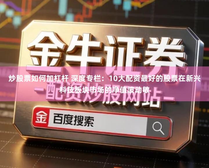 炒股票如何加杠杆 深度专栏：10大配资最好的股票在新兴科技板块市场的净值波动敏